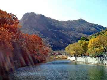 四川内江最新杀人案揭秘，悲剧背后的各方观点与立场深度解析