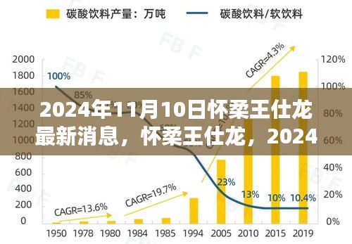 怀柔王仕龙最新动态与深远影响力揭晓，2024年11月10日更新
