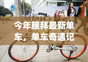 政策法规 第214页