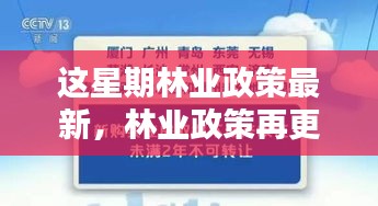 政策法规 第212页