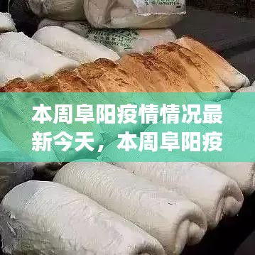 公司概况 第205页