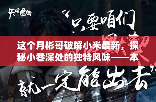 公司概况 第204页
