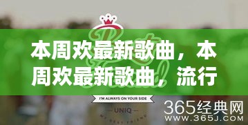 在线留言 第205页