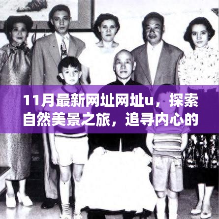 在线留言 第204页