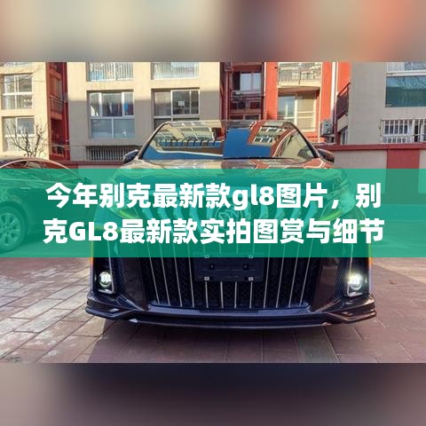 在线留言 第203页
