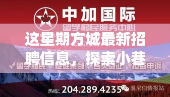 政策法规 第204页