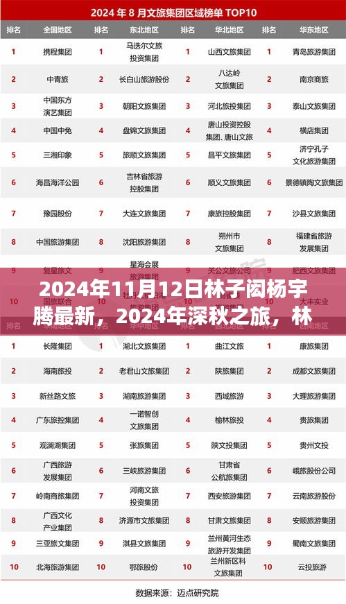 在线留言 第201页