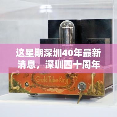 目不转睛 第26页