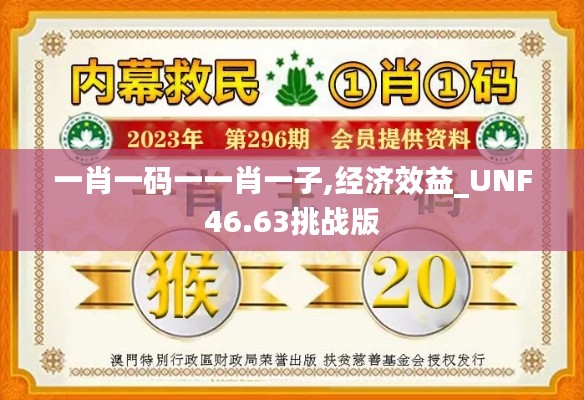一肖一码一一肖一子,经济效益_UNF46.63挑战版