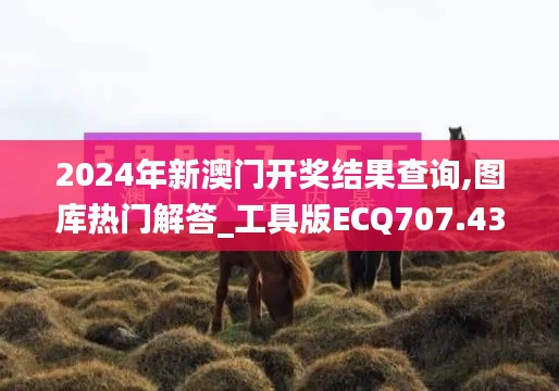 2024年新澳门开奖结果查询,图库热门解答_工具版ECQ707.43