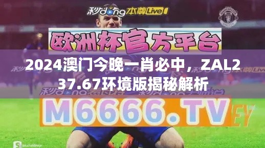 2024澳门今晚一肖必中，ZAL237.67环境版揭秘解析