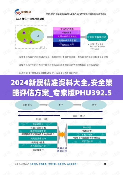 2024新澳精准资料大全,安全策略评估方案_专家版PHU392.55