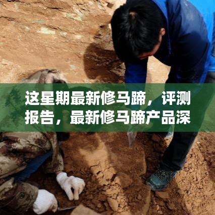 初告白 第23页