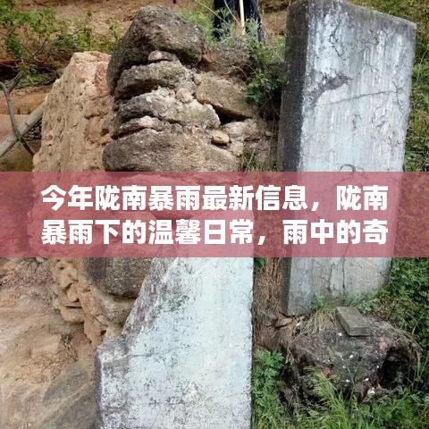 陇南暴雨下的温馨日常，雨中奇遇与家的温暖最新报道