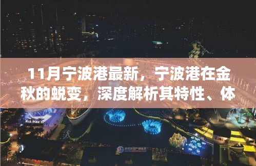 金秋蜕变，宁波港的深度解析与竞争优势体验