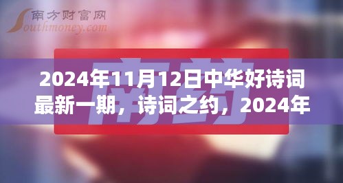 中华好诗词最新一期，诗意时光下的诗词之约（2024年11月12日）