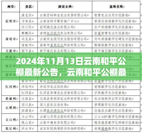 云南和平公棚最新公告发布，多元观点探析与解读