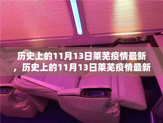 历史上的11月13日莱芜疫情全面解析，最新状况与深度探讨