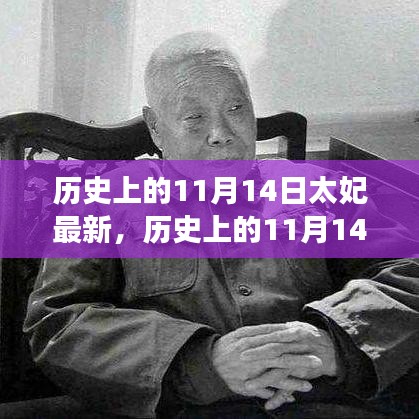 历史上的11月14日太妃传奇，最新解读与影响全解析