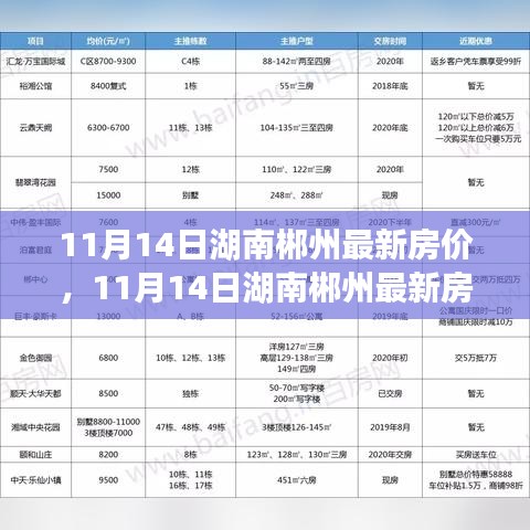 11月14日湖南郴州最新房价分析与展望