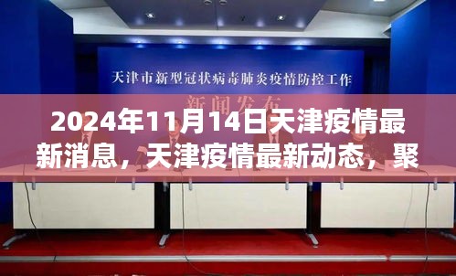 2024年11月14日天津疫情最新动态与消息聚焦