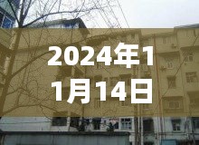 洛宁二手房最新信息探索，巷弄之韵与隐藏的小巷故事（最新信息门户）