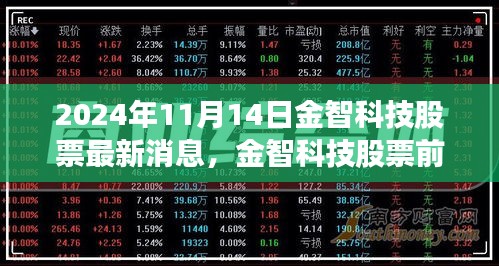 金智科技最新动态及前景展望，深度解读2024年11月14日股市消息