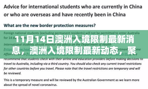 澳洲入境限制最新动态解析，聚焦11月14日的更新要点