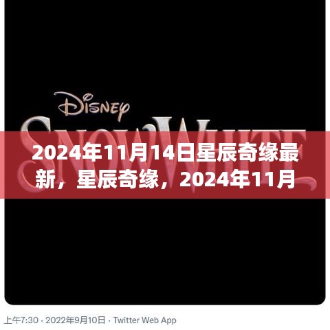 星辰奇缘梦幻邂逅，2024年11月14日星辰大海的最新揭秘