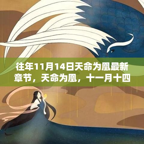 admin 第21页