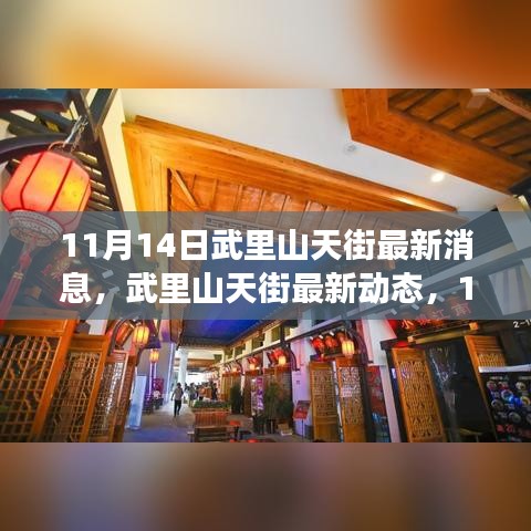 11月14日武里山天街最新动态全面解读