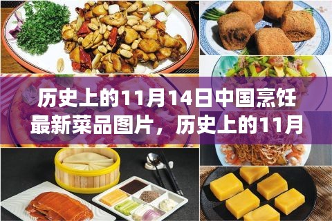 11月14日中国烹饪新菜品图片展示，历史菜品深度评测与介绍