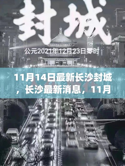 长沙封城最新消息，11月14日封城通知详解，小红书带你掌握最新动态