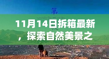 张牙舞爪 第22页