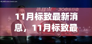 11月标致最新消息揭秘，重磅更新与未来展望