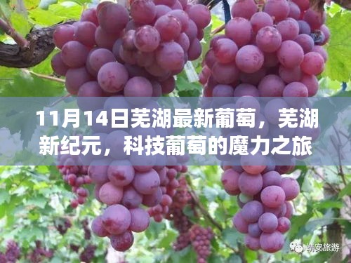 张牙舞爪 第21页