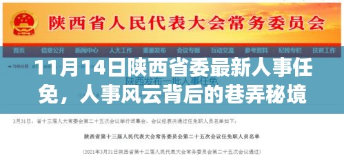 陕西省人事风云背后的巷弄秘境与人事任免揭秘