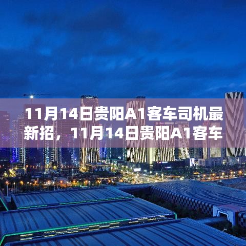 11月14日贵阳A1客车司机最新招聘信息发布