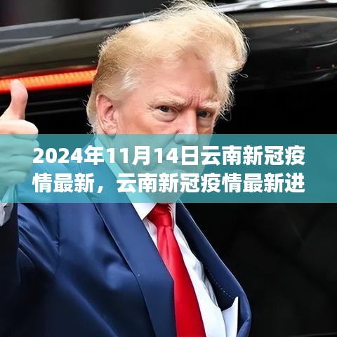 2024年11月14日云南新冠疫情最新进展与回顾展望