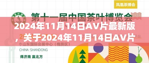 关于涉黄问题，理性看待与正确引导探讨的探讨