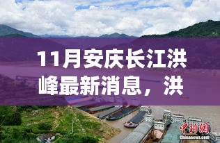安庆长江洪峰过境，温馨日常与深厚友情的见证