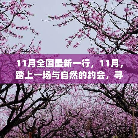 11月踏自然之旅，内心的桃花源探寻记