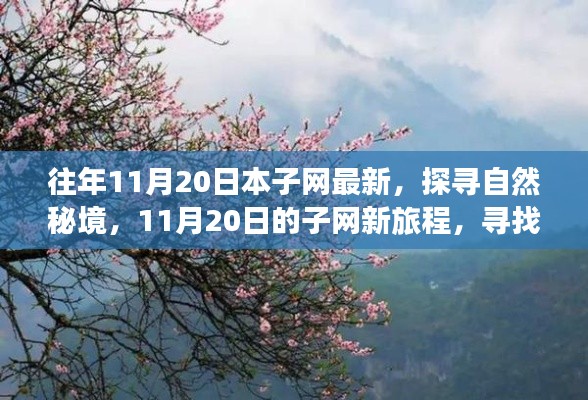 往年11月20日本子网最新，探寻自然秘境，11月20日的子网新旅程，寻找内心的桃花源