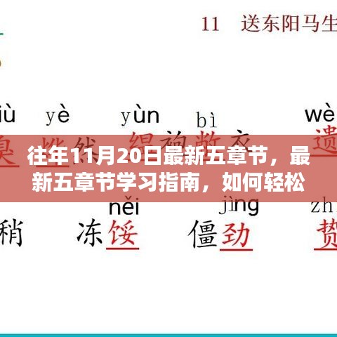 往年11月20日最新五章节学习指南，轻松掌握关键知识点攻略