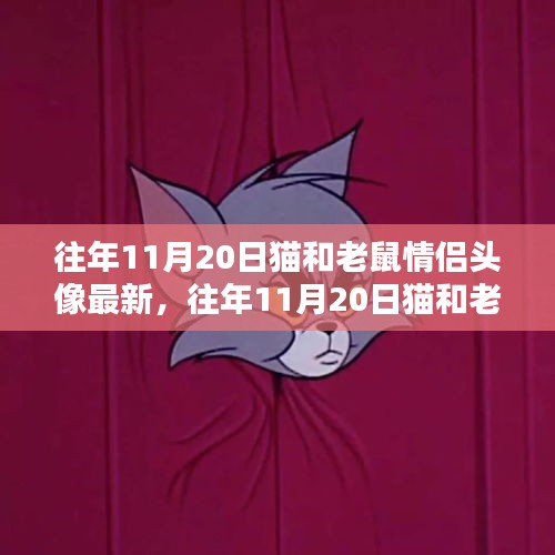 往年11月20日猫和老鼠情侣头像最新深度测评与介绍