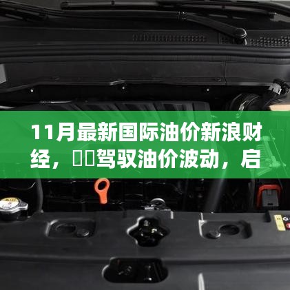 ​启程探寻油价波动背后的故事，11月国际油价下的旅行启示录​​新浪财经分析