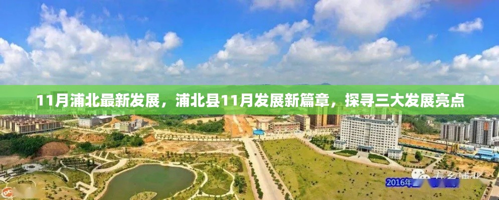橘虞初梦 第17页