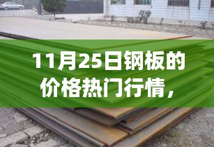 11月25日钢板价格行情深度解析，市场波动与多方观点透视