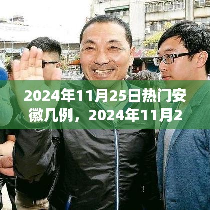 2024年11月25日安徽疫情最新热点解读，病例数量及防控措施