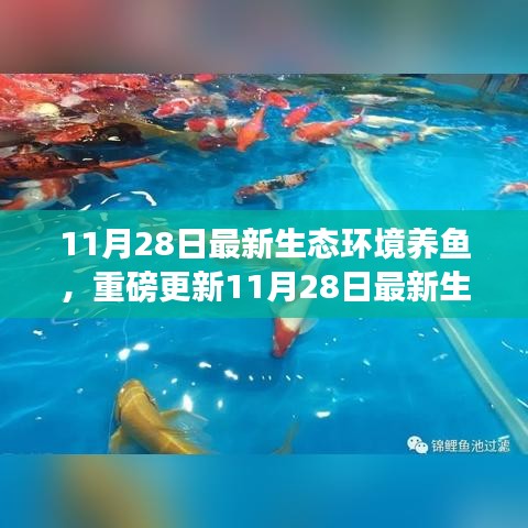 星星打烊 第15页